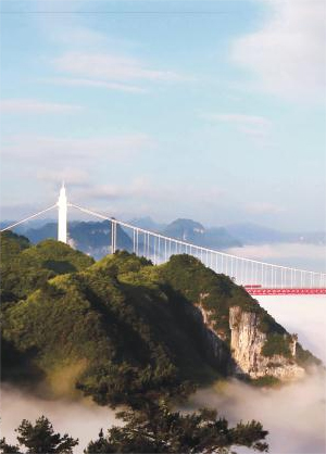 维多利亚老品牌vic(集团)官方网站