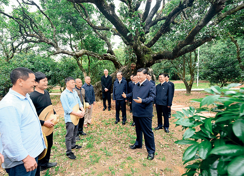 维多利亚老品牌vic(集团)官方网站