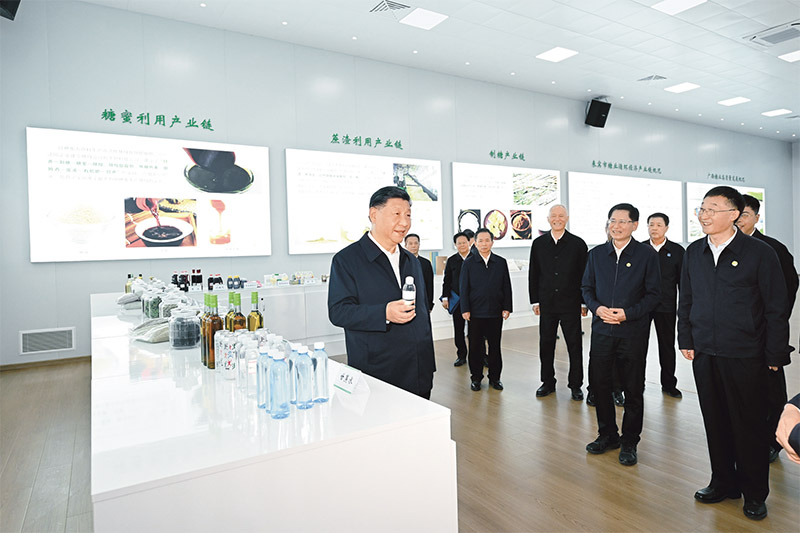 维多利亚老品牌vic(集团)官方网站